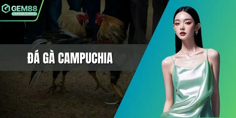Đá gà Campuchia